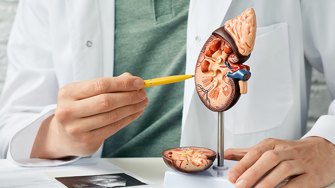 圖片 【腎功能檢查指南】慢性腎病早期無徵狀?10大指標| 高危族健康建議 圖片 【腎功能檢查指南】慢性腎病早期無徵狀?10大指標| 高危族健康建議