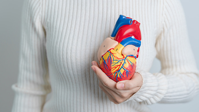 圖片 血管阻塞前兆易忽略？心臟、腦部、四肢堵塞症狀| 檢查方法全解析